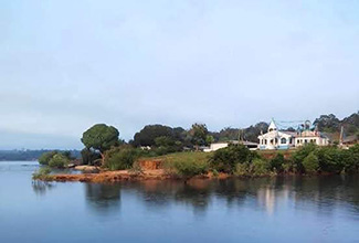service image